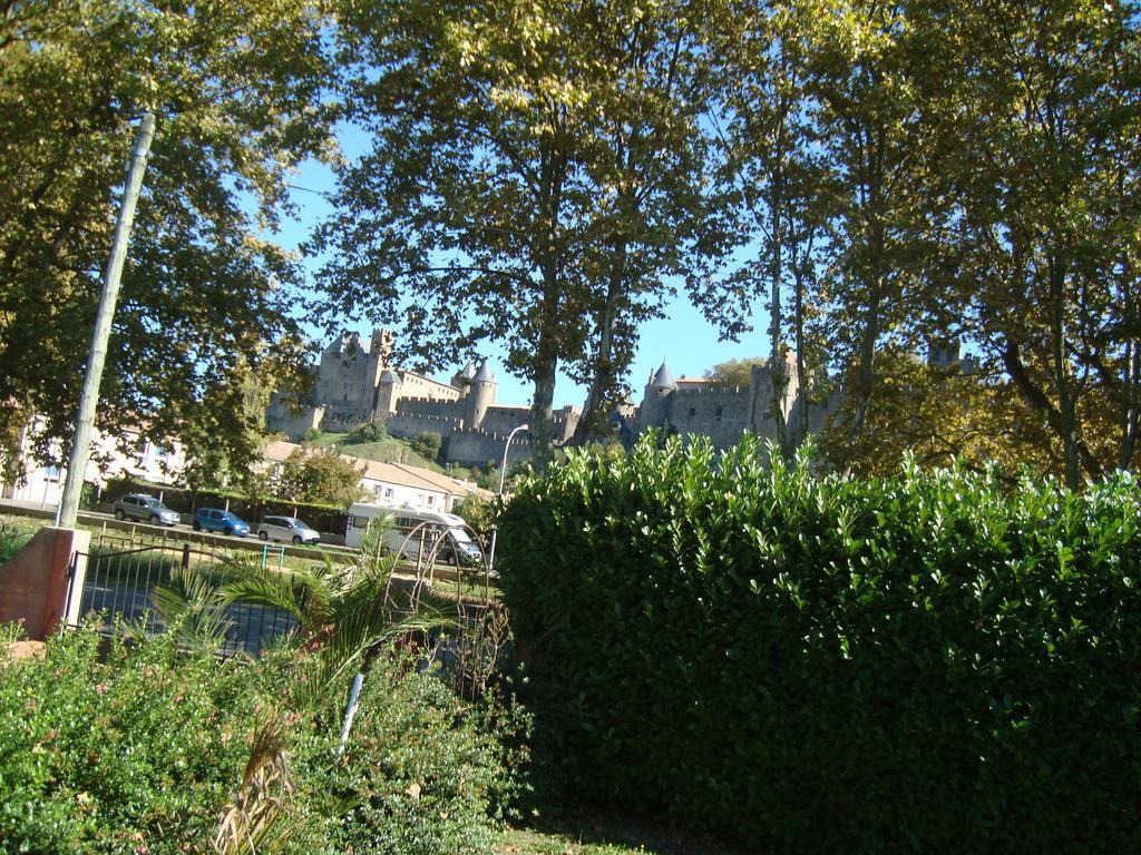 Chambres D'Hotes Les Palmiers De La Cite 카르카손 외부 사진