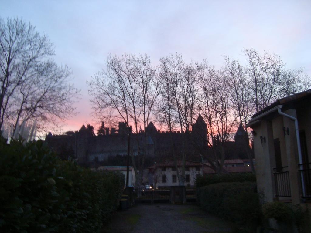 Chambres D'Hotes Les Palmiers De La Cite 카르카손 외부 사진